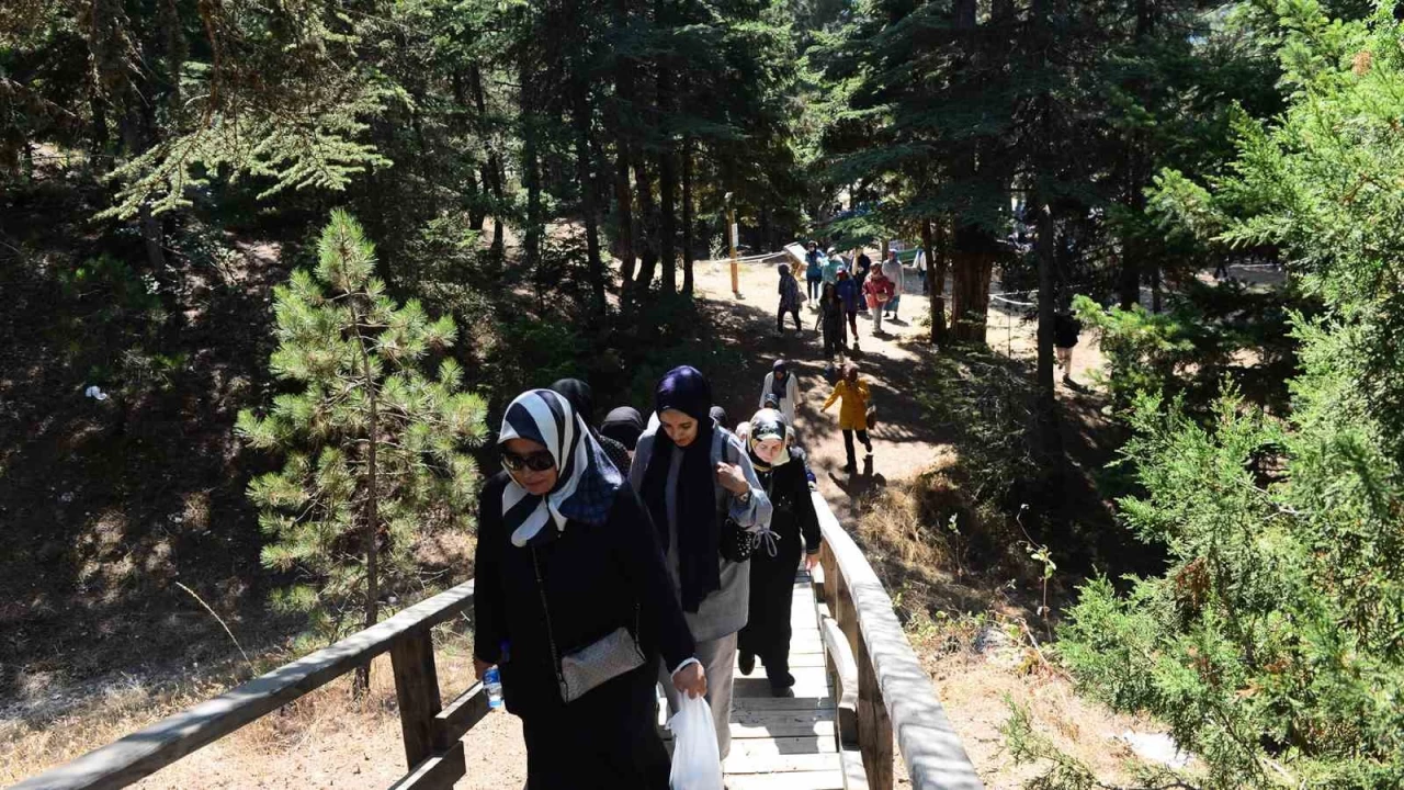 Doğa gezilerinin yeni rotası Ali Kayası ve Başkonuş Yaylası