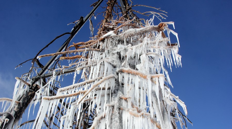 Do�u�da so�uk hava etkisini s�rd�r�yor