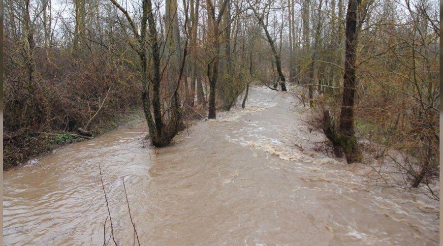 Domani�'te dereler ta�t�