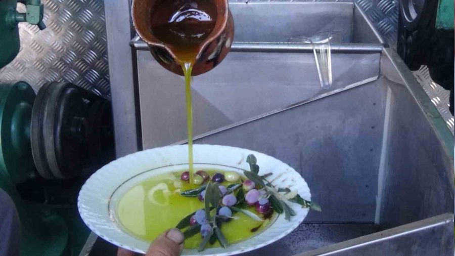 Edremit zeytinyağı coğrafi işaret tescilini aldı