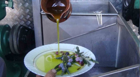 Edremit zeytinyağı coğrafi işaret tescilini aldı