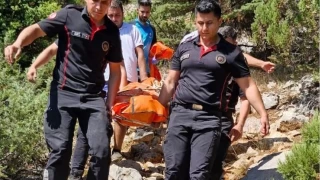 Ekşi toplamak için gittiği arazide hayatını kaybetti
