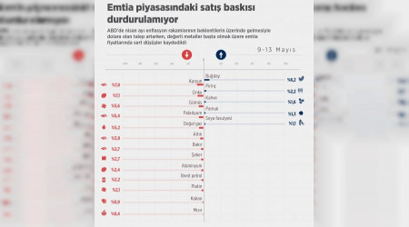 Emtia piyasasını dolar çarptı