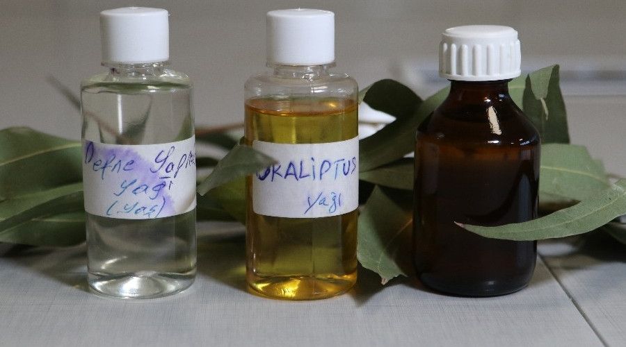 Endemik bitkiler eterik yağ ihracatını arttıracak