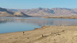 Erci'teki barajlar kuraklk vurdu