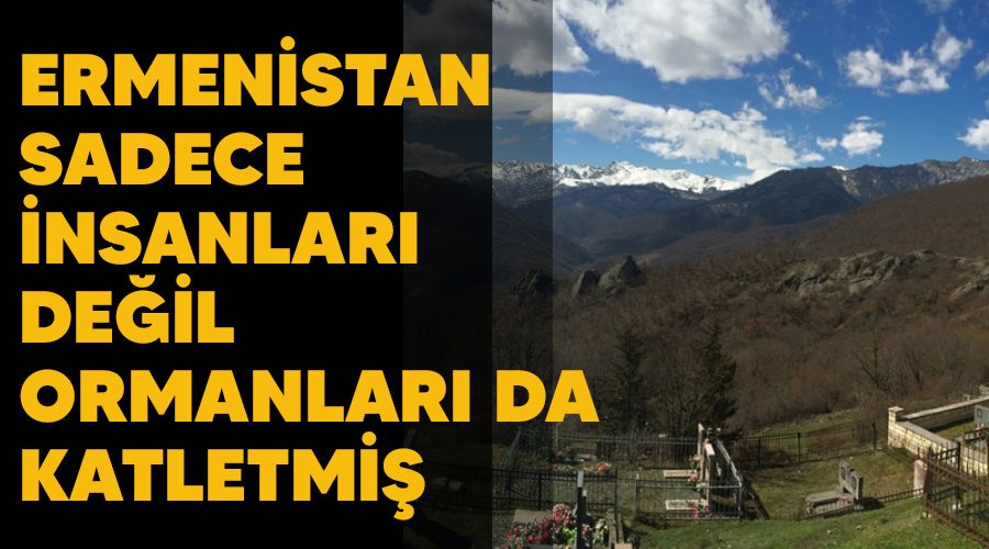 Ermenistan sadece insanları değil ormanları da katletmiş