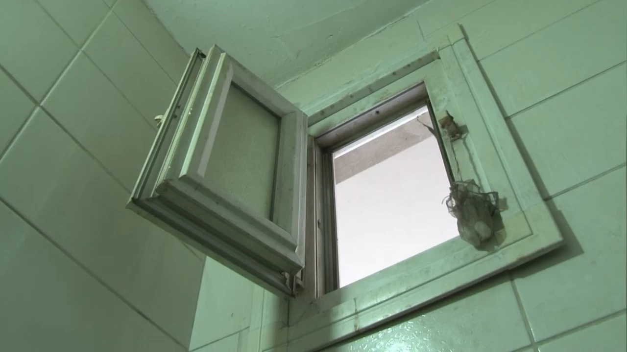 Esenyurt'ta d�kkana tuvalet penceresinden giren h�rs�z pes dedirtti