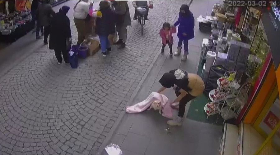 Eskiehir'de all kpek hrszl
