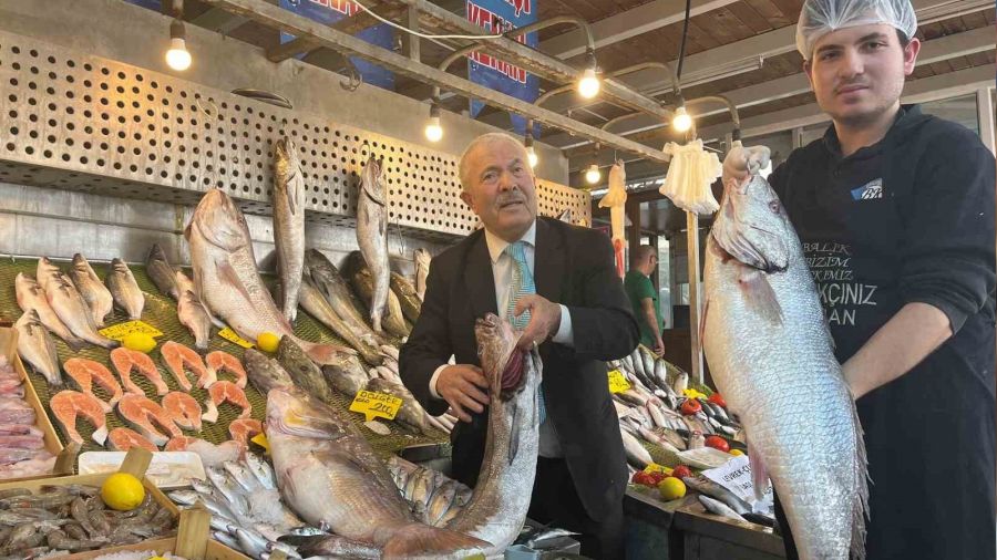 Eti vatanda�a, iskeleti m�zeye