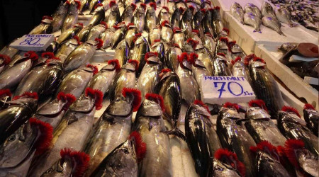 Fırtına sebebiyle palamut fiyatları ikiye katlandı