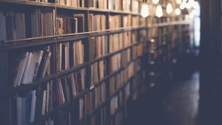 Füsûsu'l-Hikem: Hikmetlerin inci taneleri