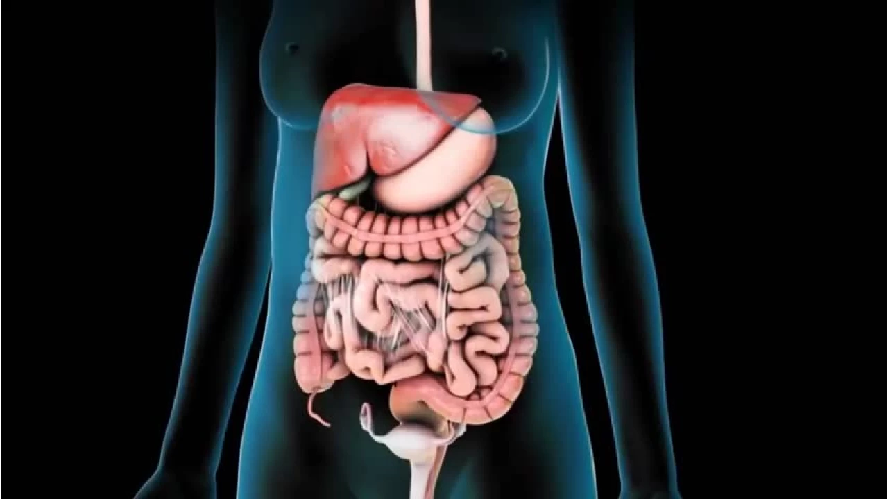 Gastroenteroloji cerrahisi hakknda bilmedikleriniz
