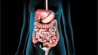 Gastroenteroloji cerrahisi hakkında bilmedikleriniz