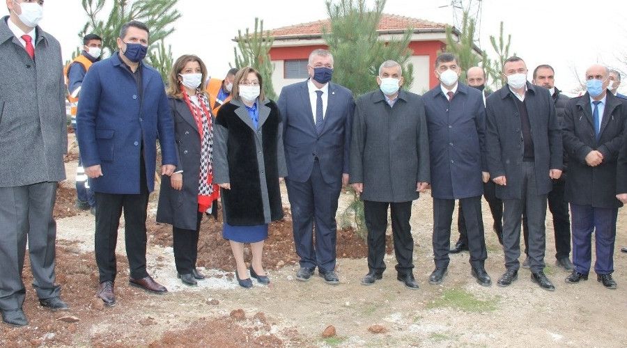 Gaziantep'te 330 adet kara�am a�ac� toprakla bulu�tu