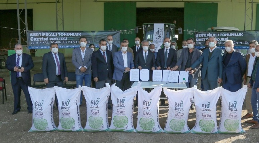 Gaziantep'te sertifikalı tohum üretimine başlandı