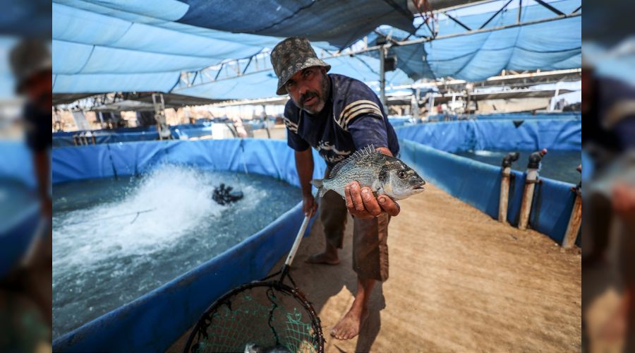 Gazze'de hayat �ekilmez oldu