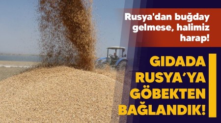 Gıdada Rusya'ya göbekten bağlandık!