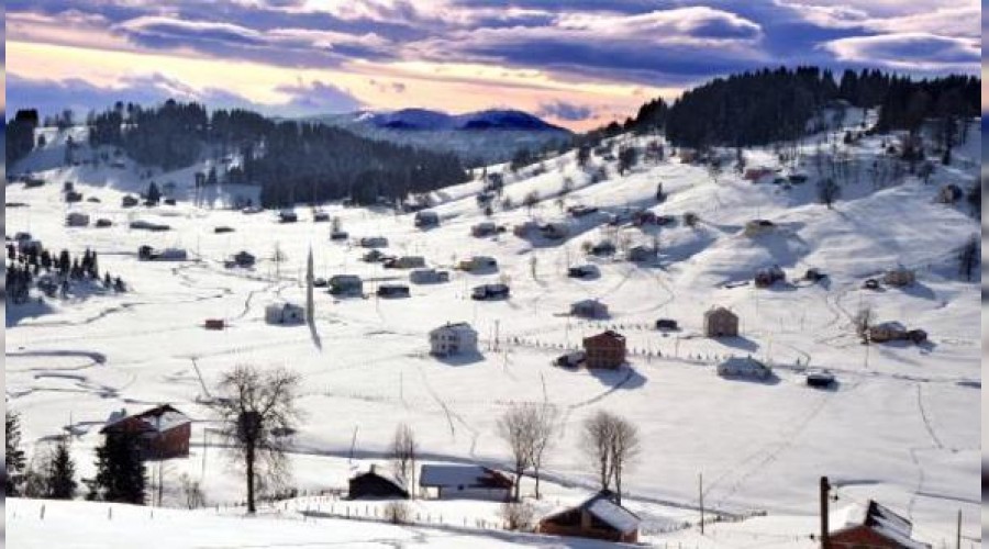 Giresun yaylalar� beyaza b�r�nd�
