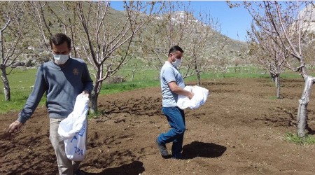 Gündoğmuş'ta üreticilere arı otu verildi
