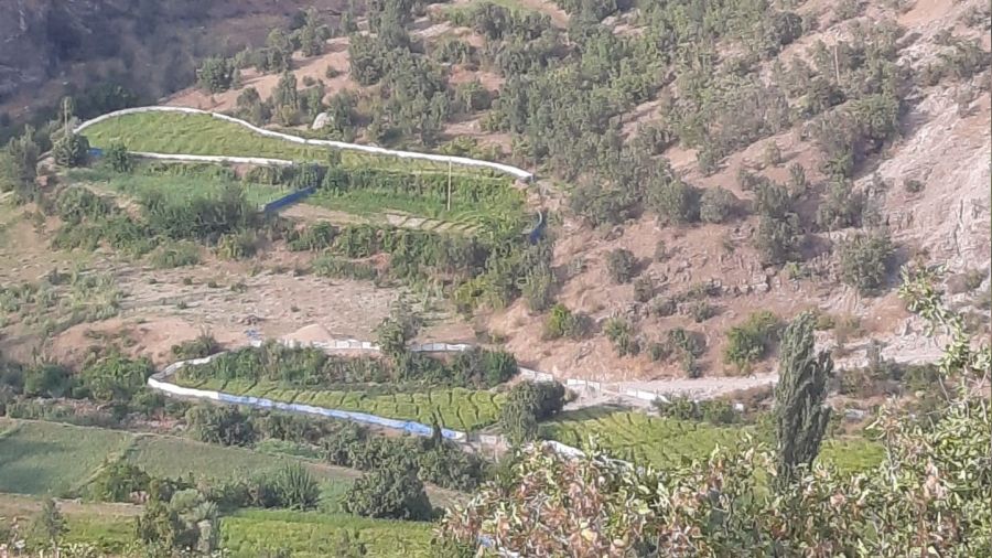 Hakkari'de yaban domuzları için brandalı çözüm