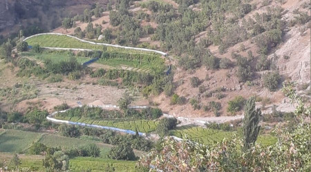 Hakkari'de yaban domuzları için brandalı çözüm