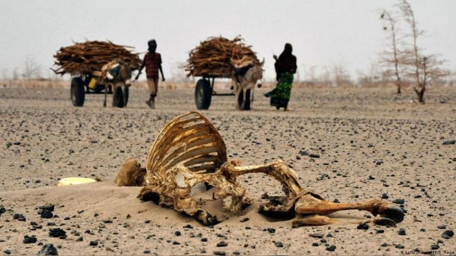 �klim de�i�ikli�inden en �ok Afrika zarar g�r�yor