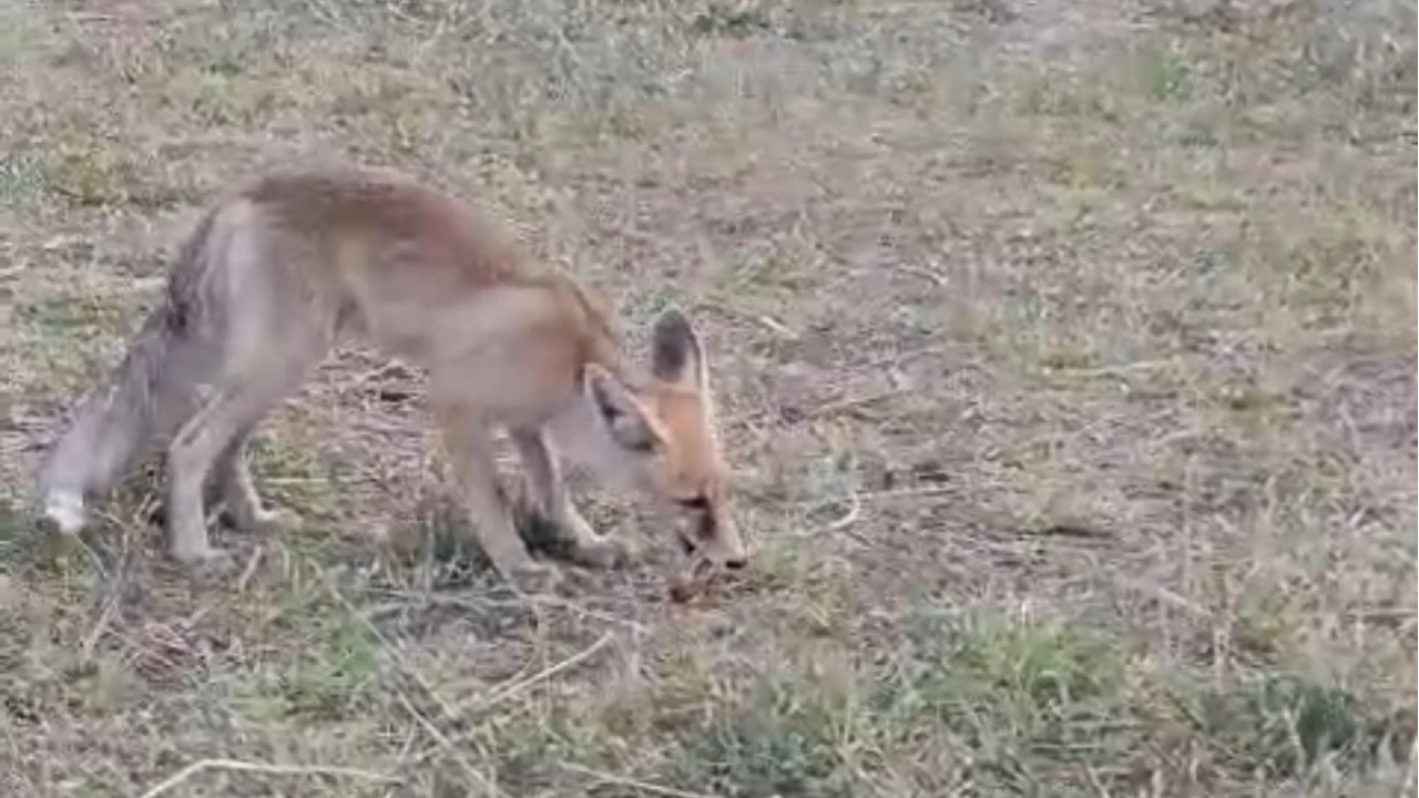 �lhan ��retmenden anlaml� davran��