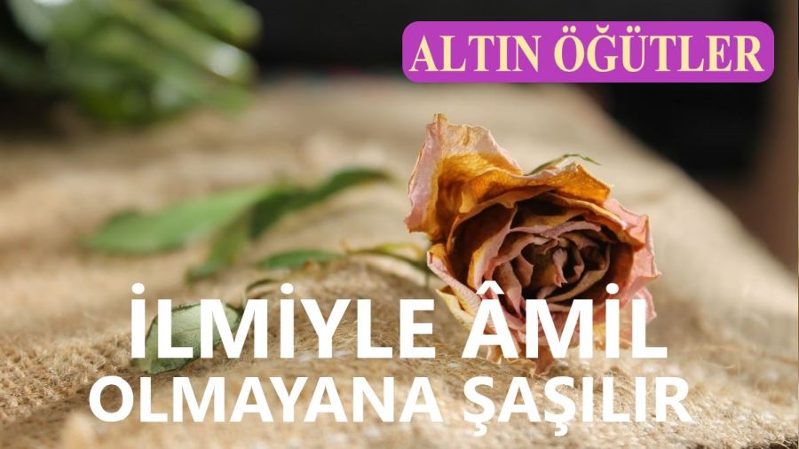 �lmiyle �mil olmayana �a��l�r