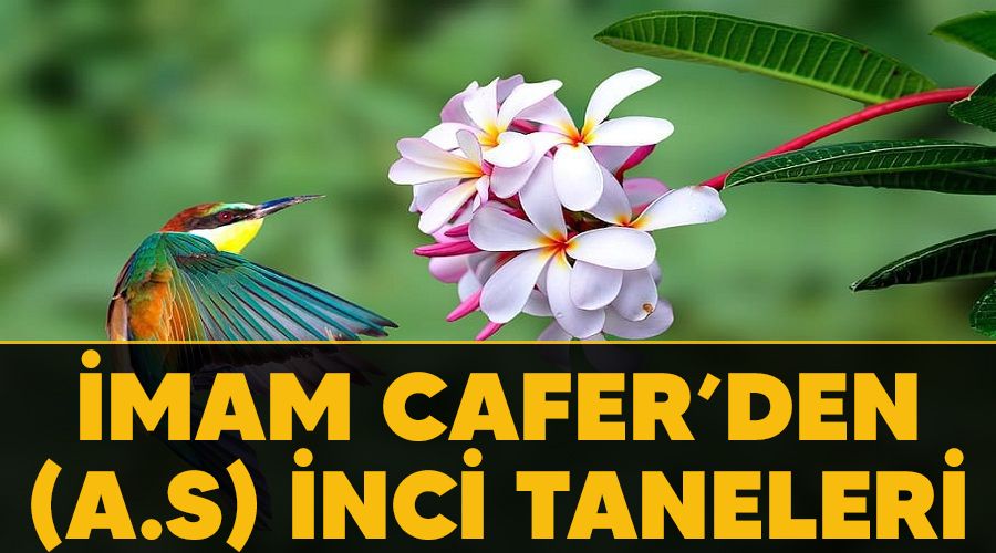 İmam Cafer’den (a.s) inci taneleri