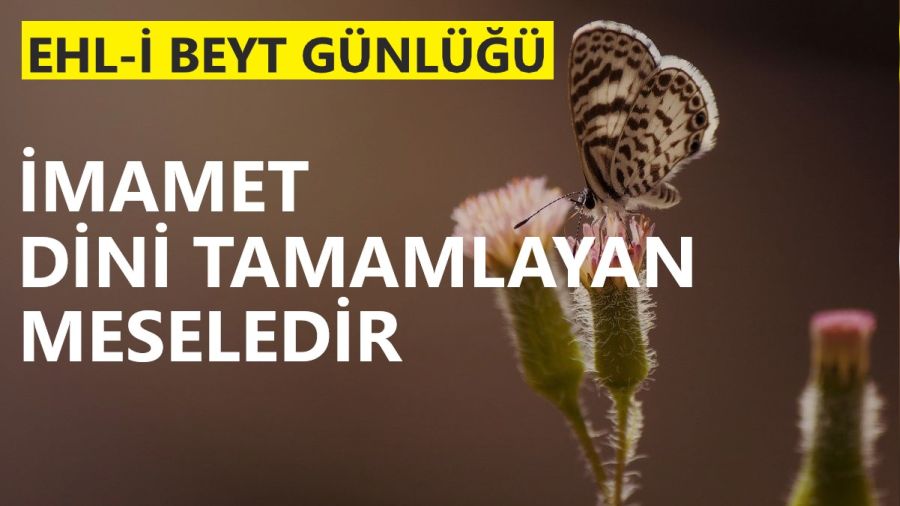 ‘İmamet, dini tamamlayan meseledir’
