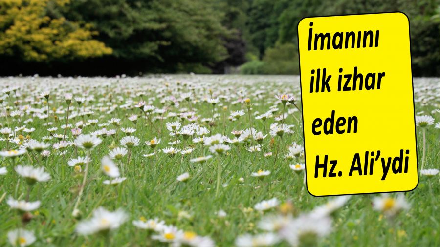 İmanını ilk izhâr eden Hz. Ali’ydi