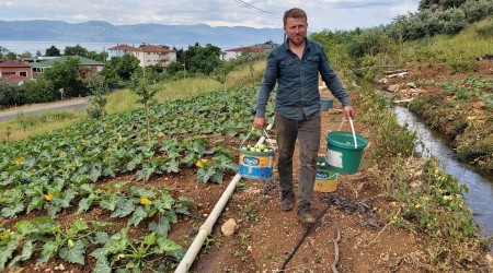 Kabak hasad balad, ifti fiyatlardan memnun