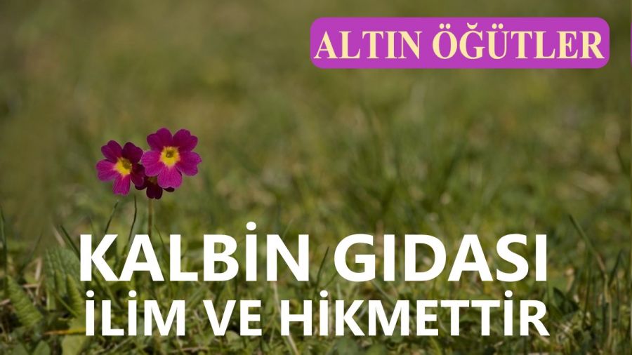 Kalbin g�das� ilim ve hikmettir