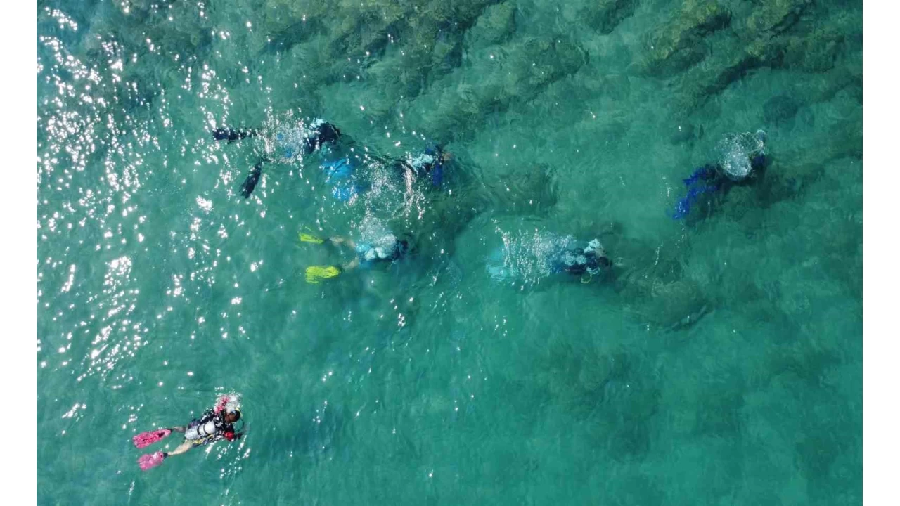 Kamp kuruldu, deniz biyoeitlilii dallarla izlendi