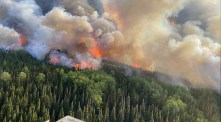 Kanada'da 8.8 milyon hektarlık alan kül oldu