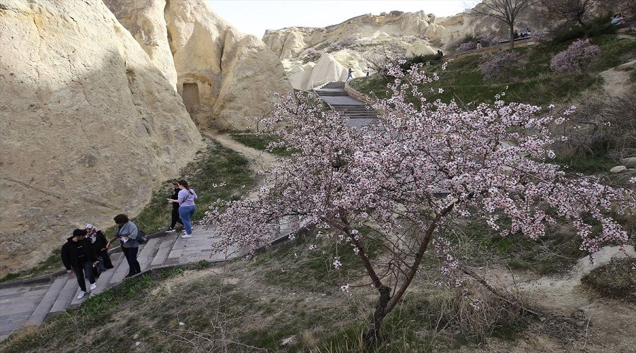 Kapadokya baharın hediyesi çiçeklerle süslendi