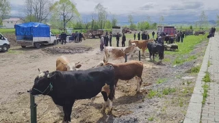 Karabk'te kurbanlar pazara girdi