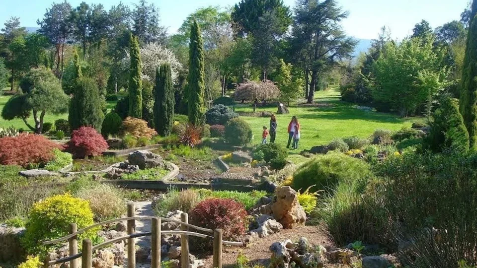 Karaca Arboretumu: Do�an�n sessiz k�t�phanesi