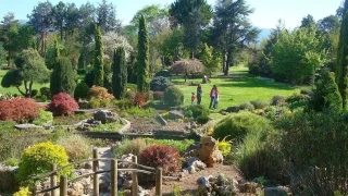 Karaca Arboretumu: Do�an�n sessiz k�t�phanesi