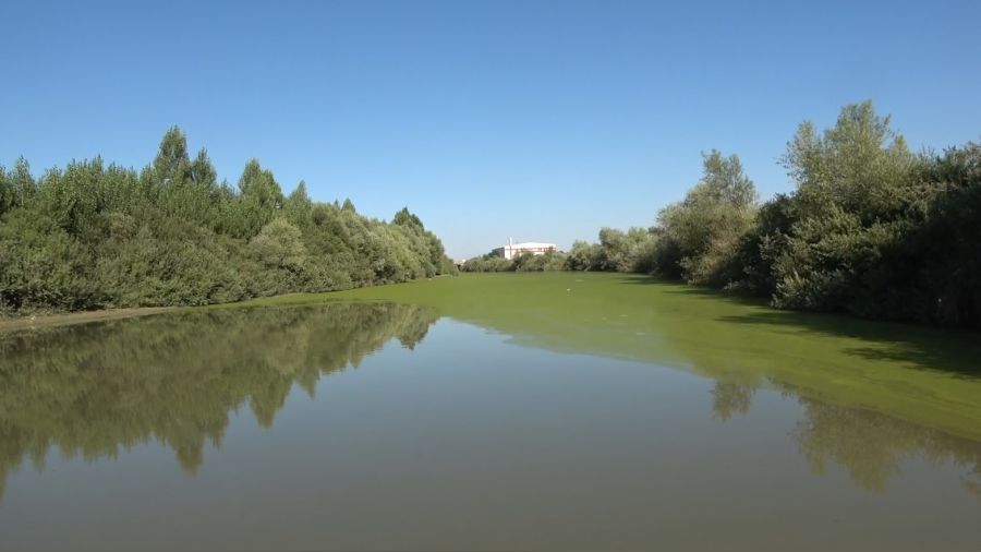 Karasu Nehri ye�ile d�nd�