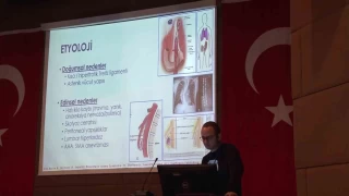 Kartal'da "Nadir Hastalklar Sempozyumu" dzenlendi