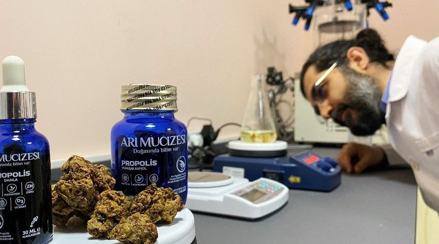 Kilosu araç değerinde yok satıyor