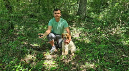 Kilosu iki bin Euro'ya satılan trüf mantarını radar köpekler buluyor