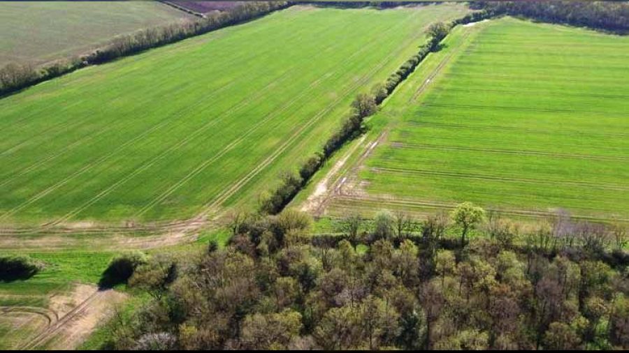 Kırklareli'de 4.450 m² tarla mahkemeden satılıktır