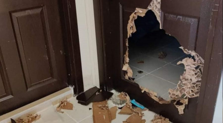 Kış uykusuna yatmayan ayı yayla evlerine dadandı