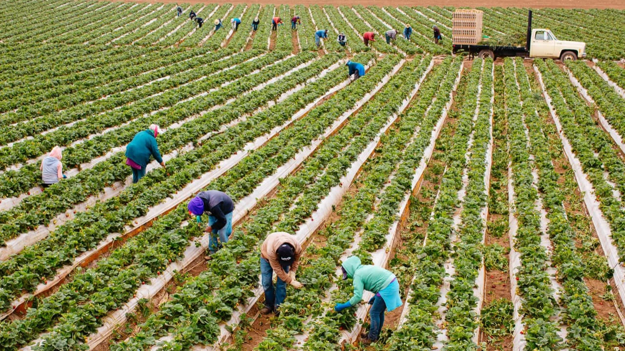 Kooperatif�ilikle Kazanan Toplum Oluyor