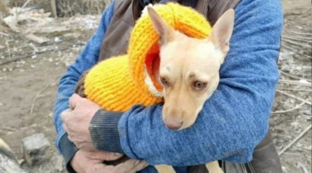 Köpeğinin yerini söyleyene 100 bin TL ödül verecek