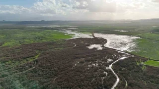 Kuruyan Marmara G�l�'ne yeniden su giri�i ba�lad�