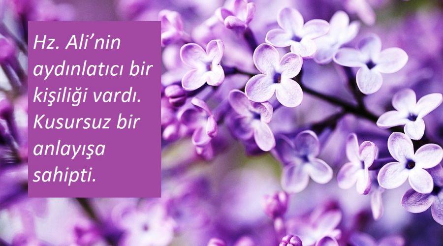 Kusursuz bir anlayışa sahipti