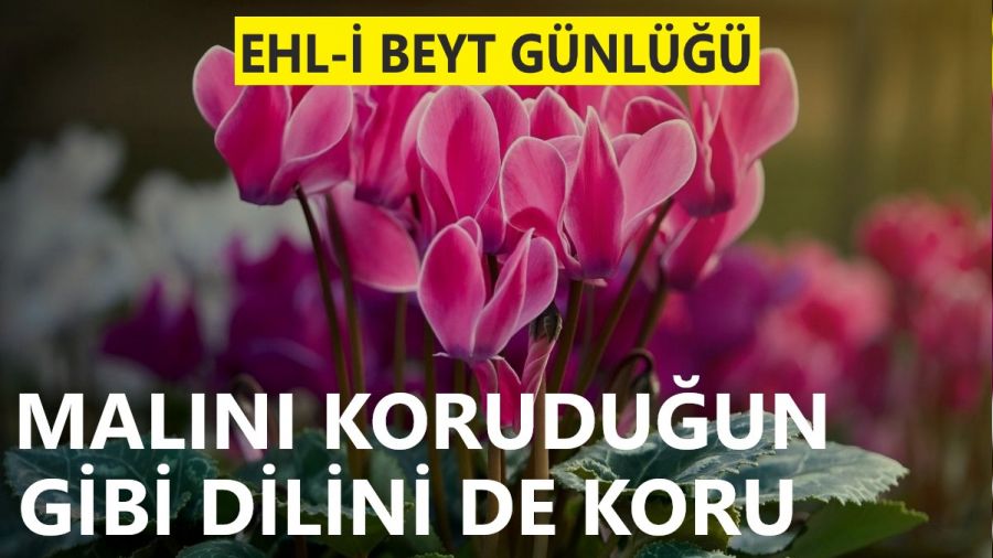 Malını koruduğun gibi dilini de koru